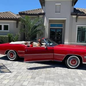 Meet your Posher, Maureen